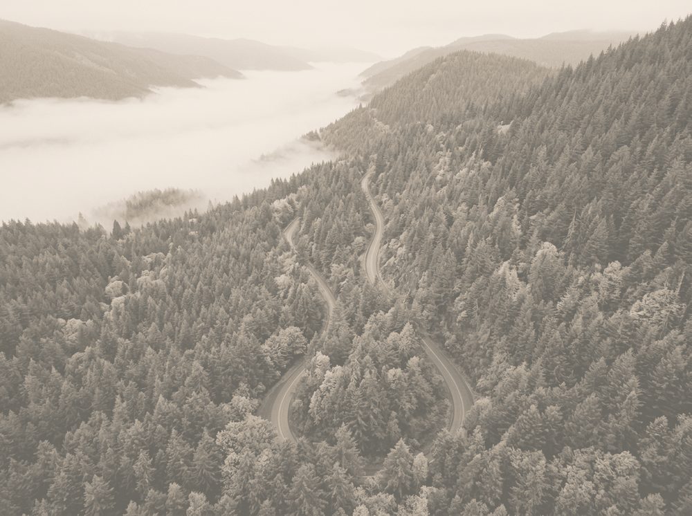 Duotone photograph of a mountain forest road for Mitsubishi